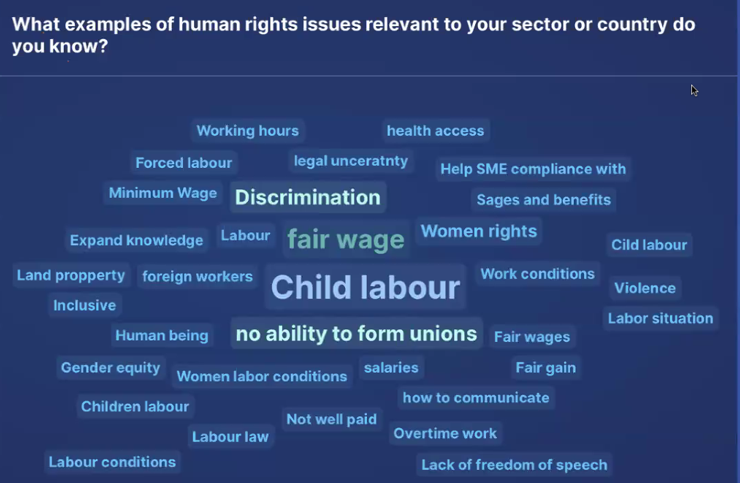 Human Rights Due Diligence