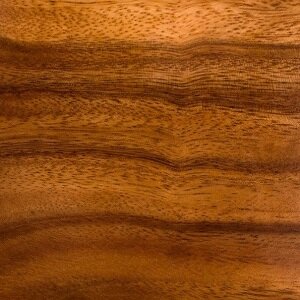 Seminar on Trends of Wood Processing and Technical Wood Industry, 16 – 20 October 2017
